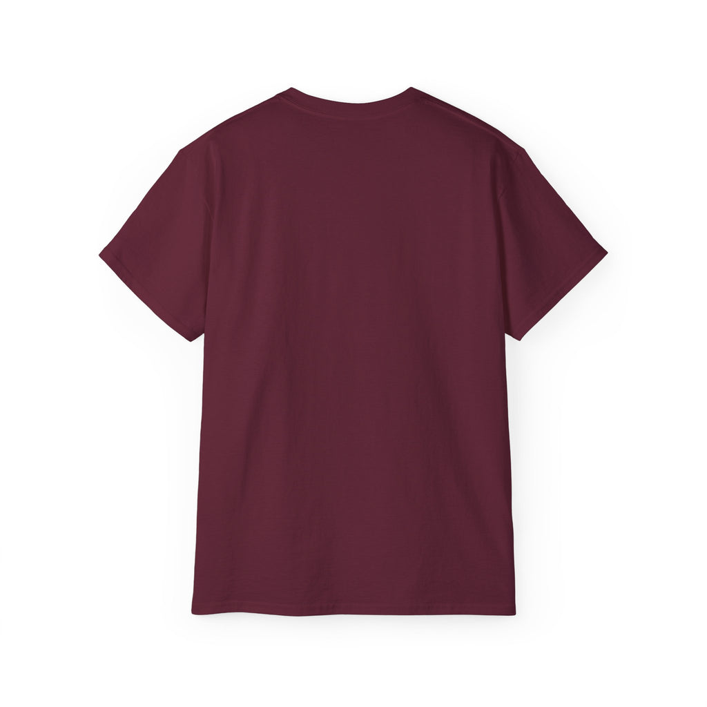Nordlys Classic Tee