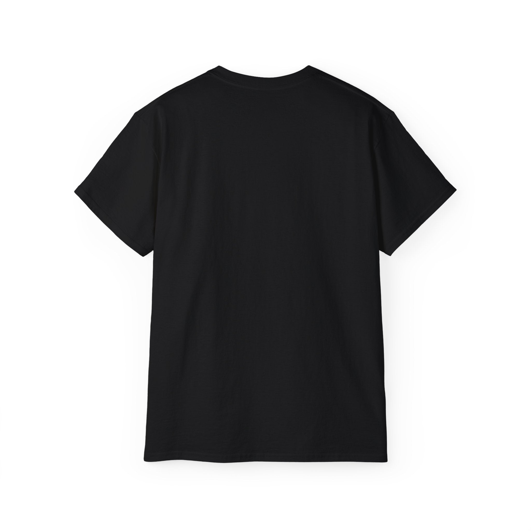 Nordlys Classic Tee