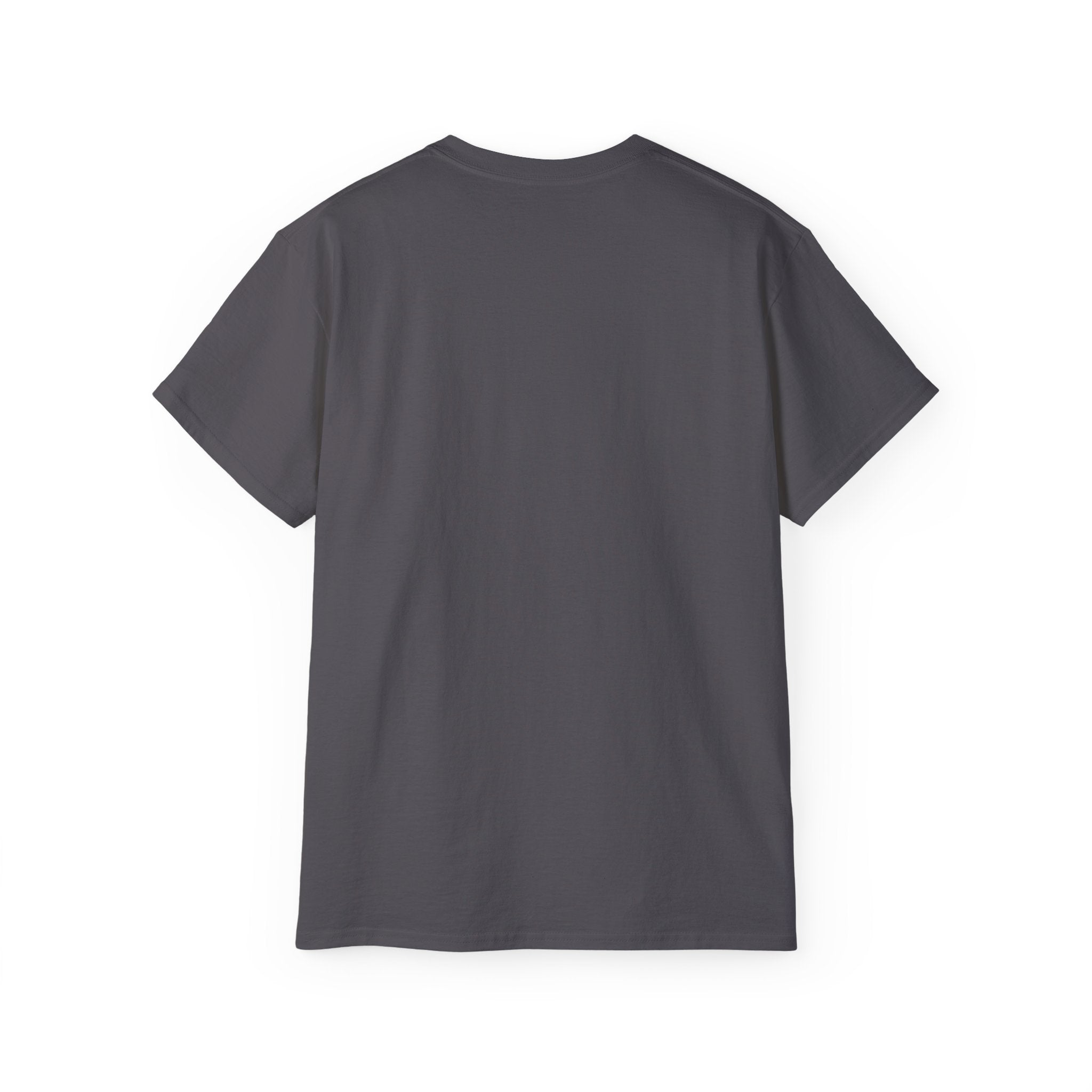 Nordlys Classic Tee